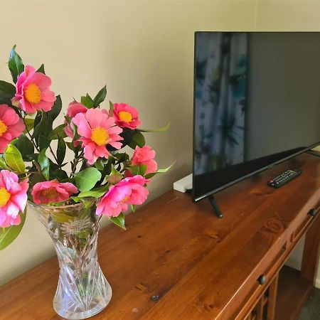 Pyes Pa Studio Lägenhet Tauranga Exteriör bild